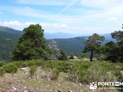 Camino viejo del Paular - Valle de la Angostura - asociación de senderismo Alcobendas